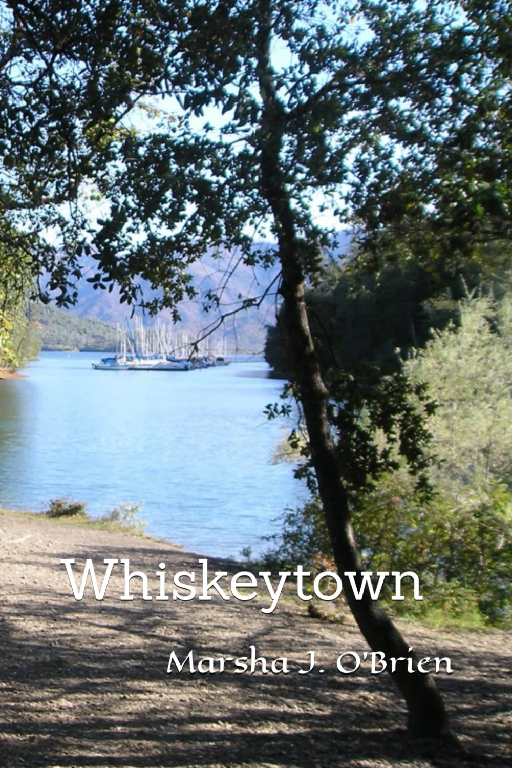 Whiskeytown baixar livro de graça