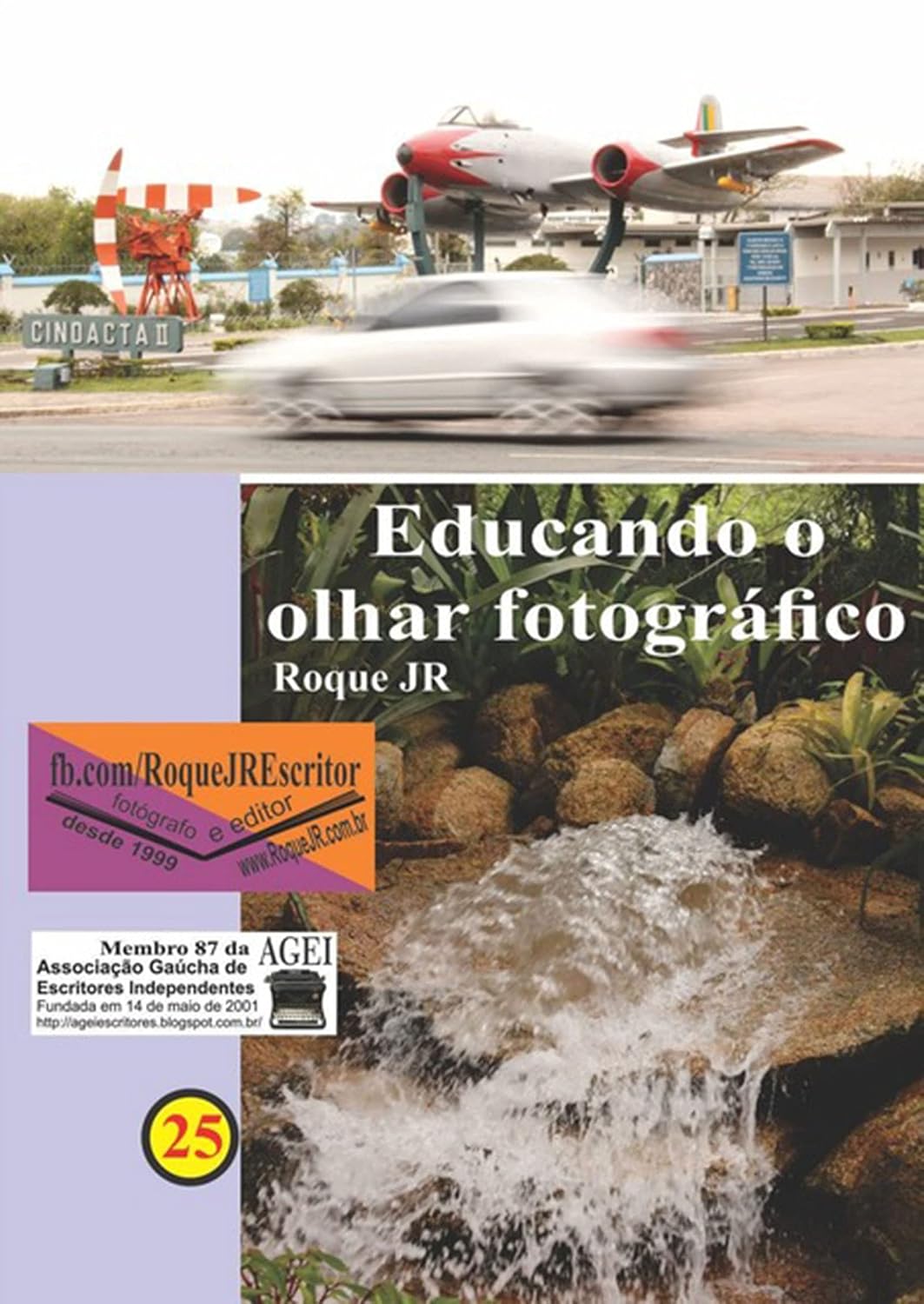 capítulo por capítulo baixar Educando O Olhar Fotográfico
