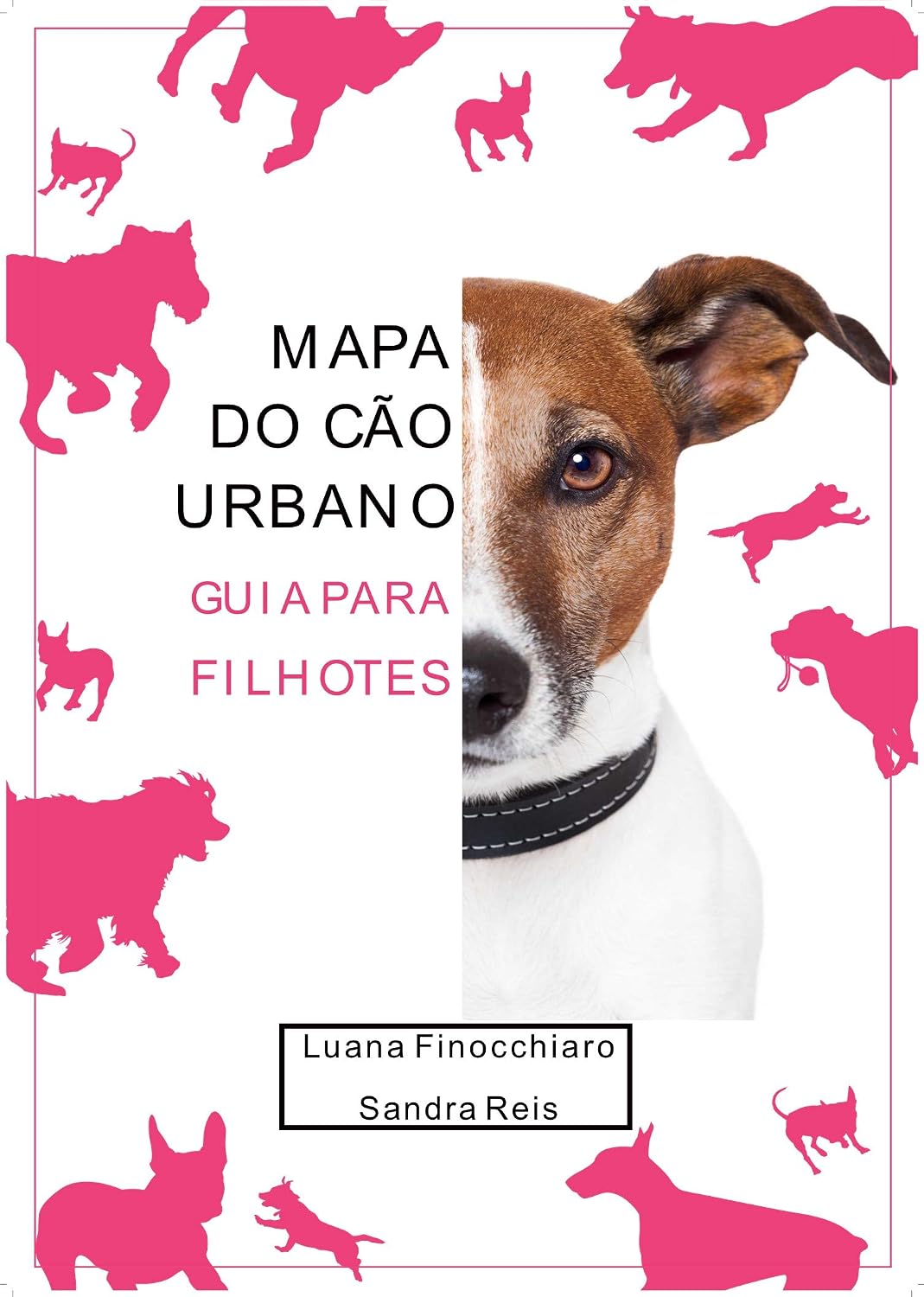 ler totalmente Mapa do Cão Urbano: Guia para Filhotes