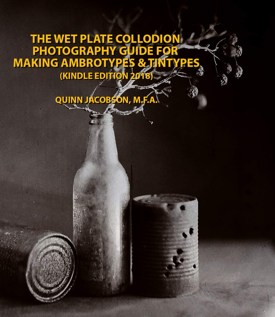 ler totalmente Chemical Pictures The Wet Plate Collodion Photography Book: How to Make Ambrotypes and Tintypes Kindle Edition (English Edition)