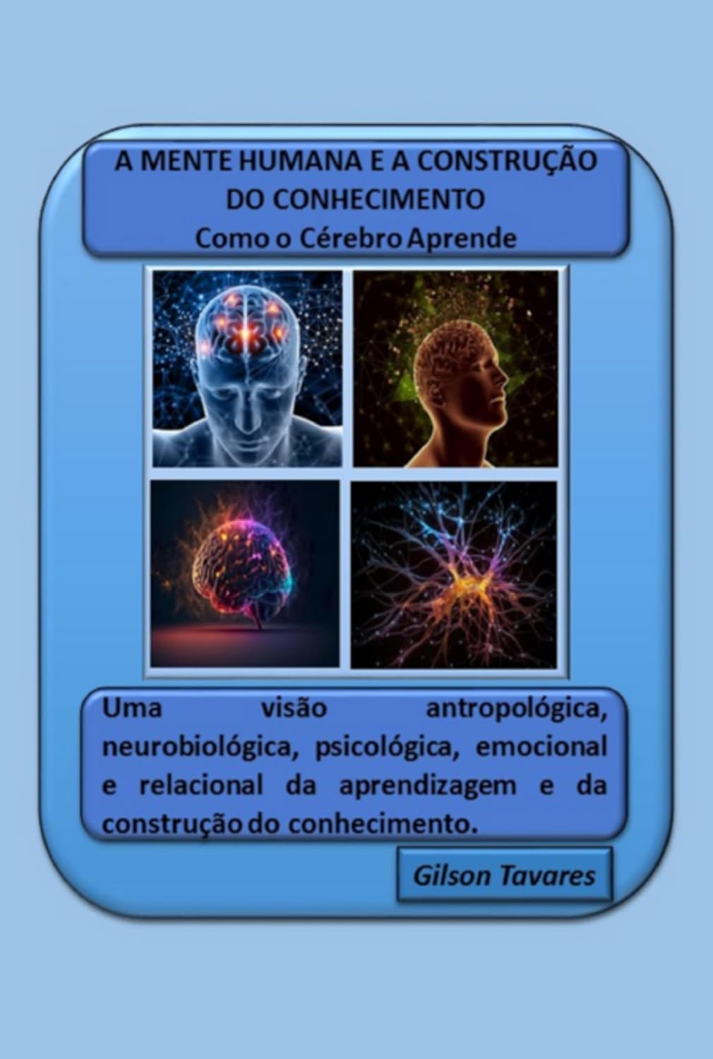 capítulo por capítulo baixar A Mente Humana E A Construção Do Conhecimento - Como O Cérebro Aprende