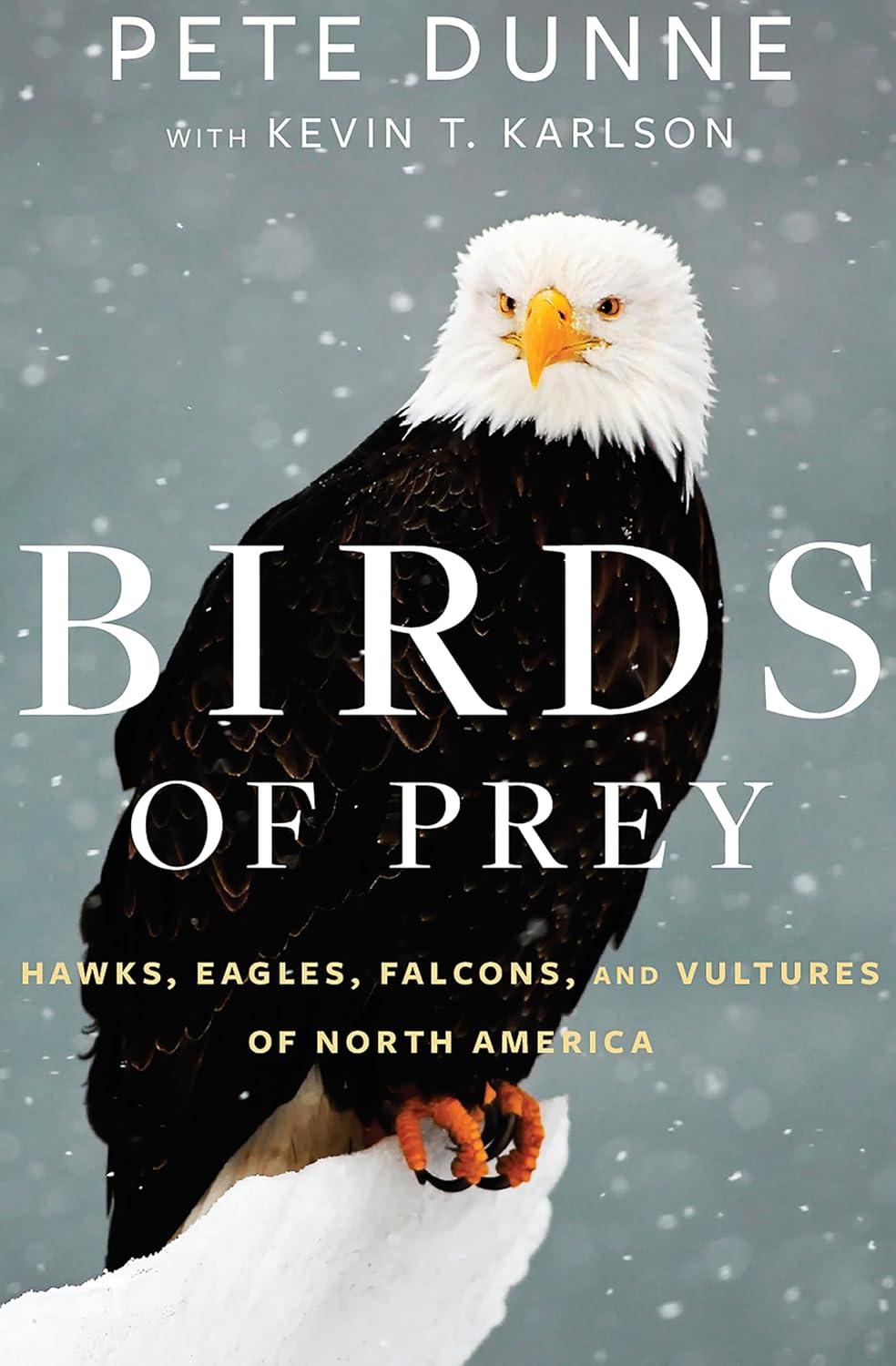 Birds of Prey: Hawks, Eagles, Falcons, and Vultures of North America (English Edition) baixar livro de graça