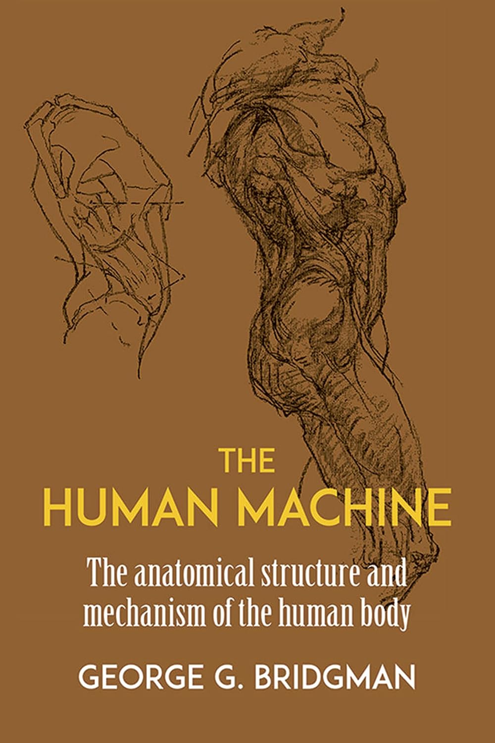 capítulo por capítulo baixar The Human Machine