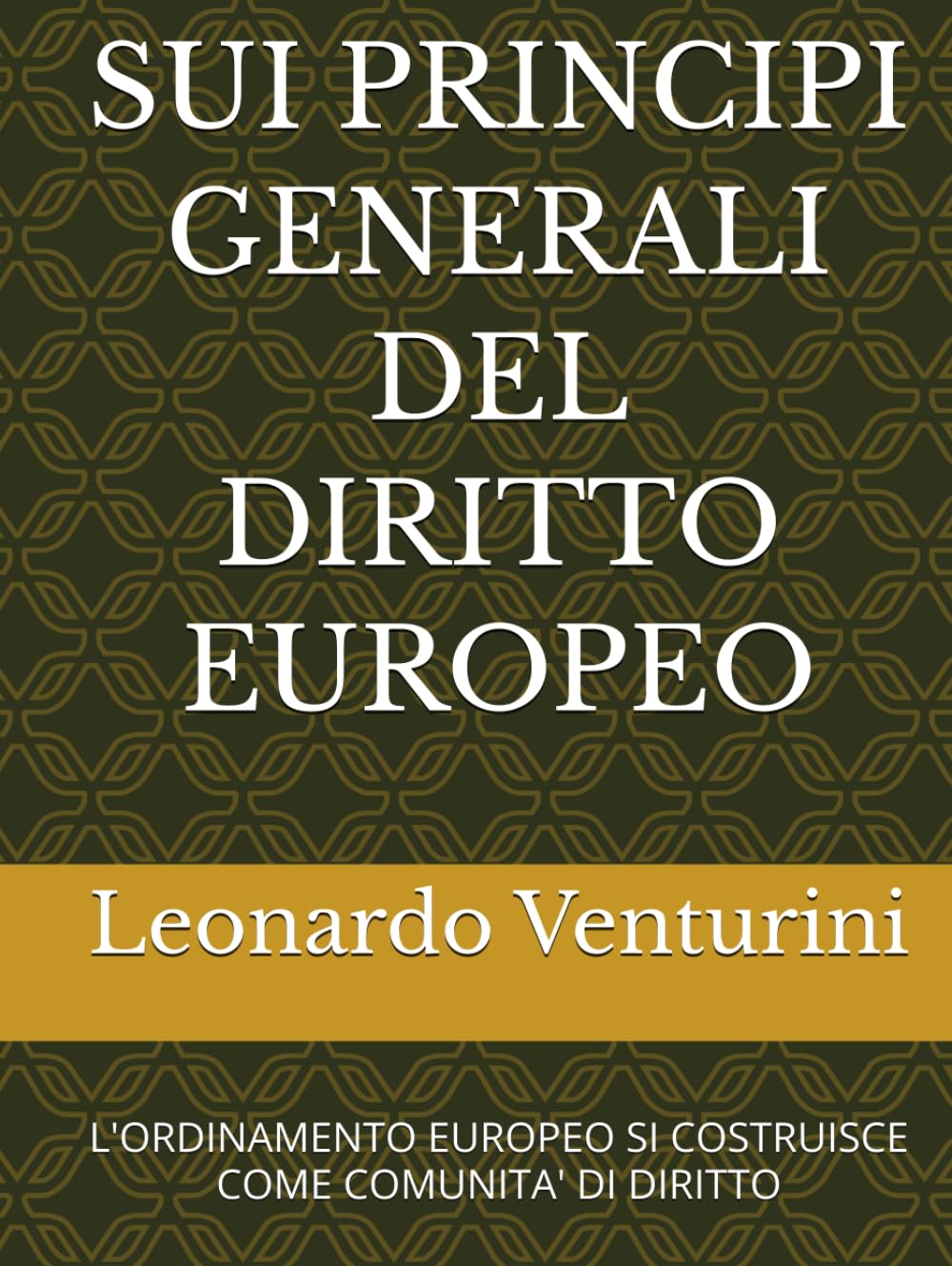 SUI PRINCIPI GENERALI DEL DIRITTO EUROPEO: L'ORDINAMENTO EUROPEO SI COSTRUISCE COME COMUNITA' DI DIRITTO (Monografie di Filosofia del Diritto) (Italian Edition) baixar livro de graça