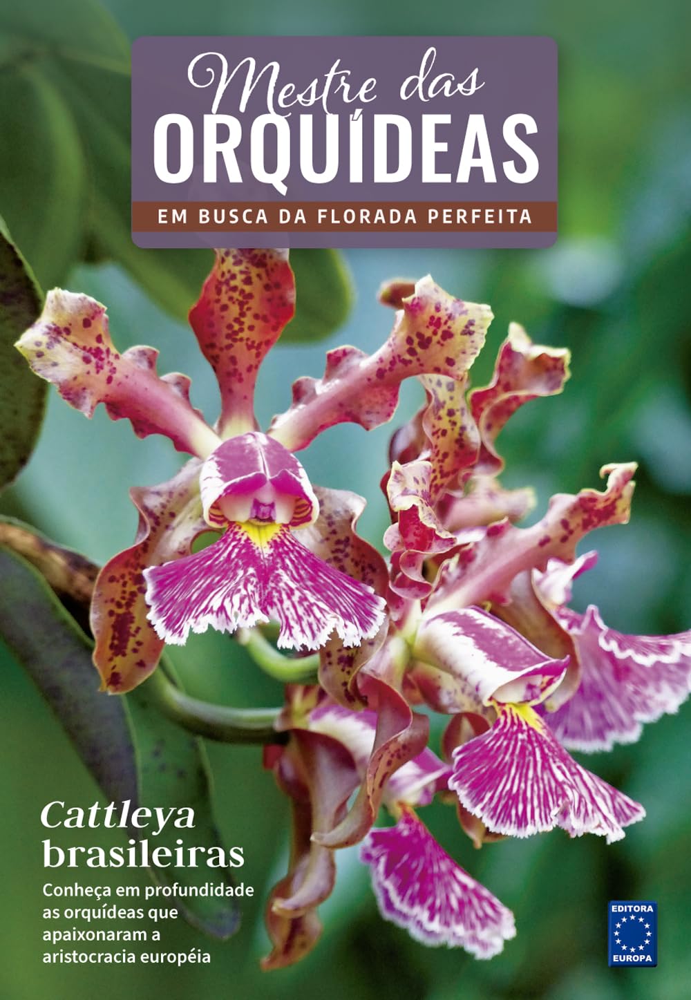 Mestre das Orquídeas - Volume 19: Cattleya brasileiras