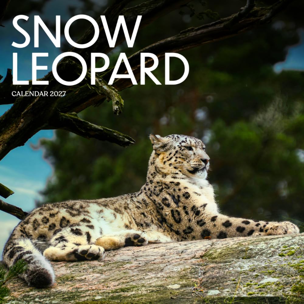 capítulo por capítulo baixar Snow Leopard Calendar 2027: Big Cat Wildlife and Natural Scenes