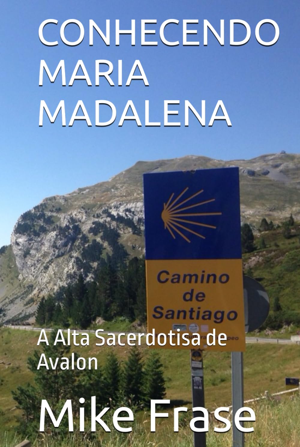 CONHECENDO MARIA MADALENA: A Alta Sacerdotisa de Avalon (Portuguese Edition) baixar livro de graça