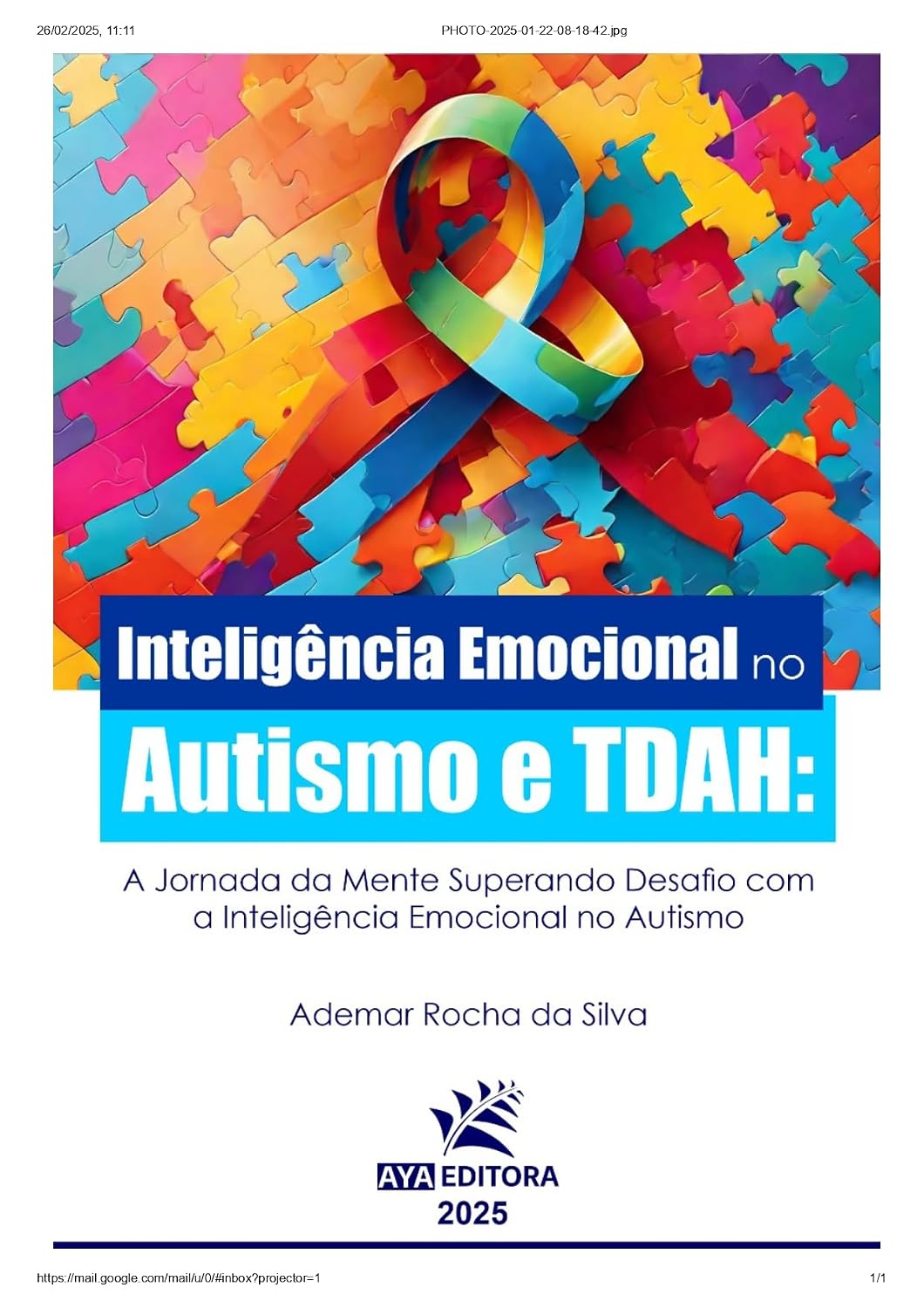 INTELIGENCIA EMOCIONAL NO AUTISMO E TDAH baixar livro de graça