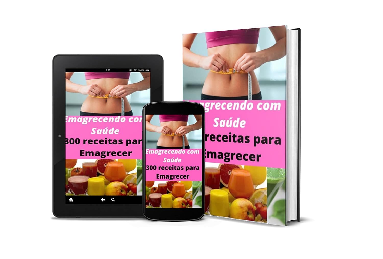 Emagrecendo com Saúde: 300 Receitas para Emagrecer baixar livro de graça