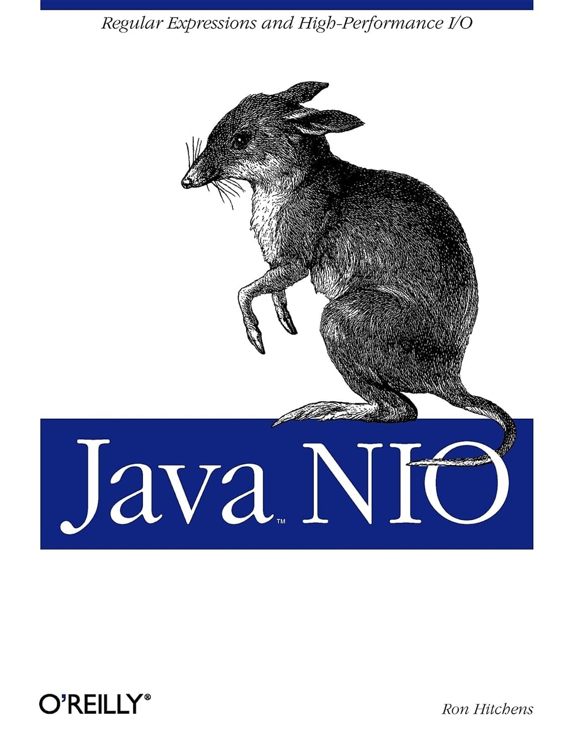 ler totalmente Java NIO: Regular Expressions and High-Performance I/O