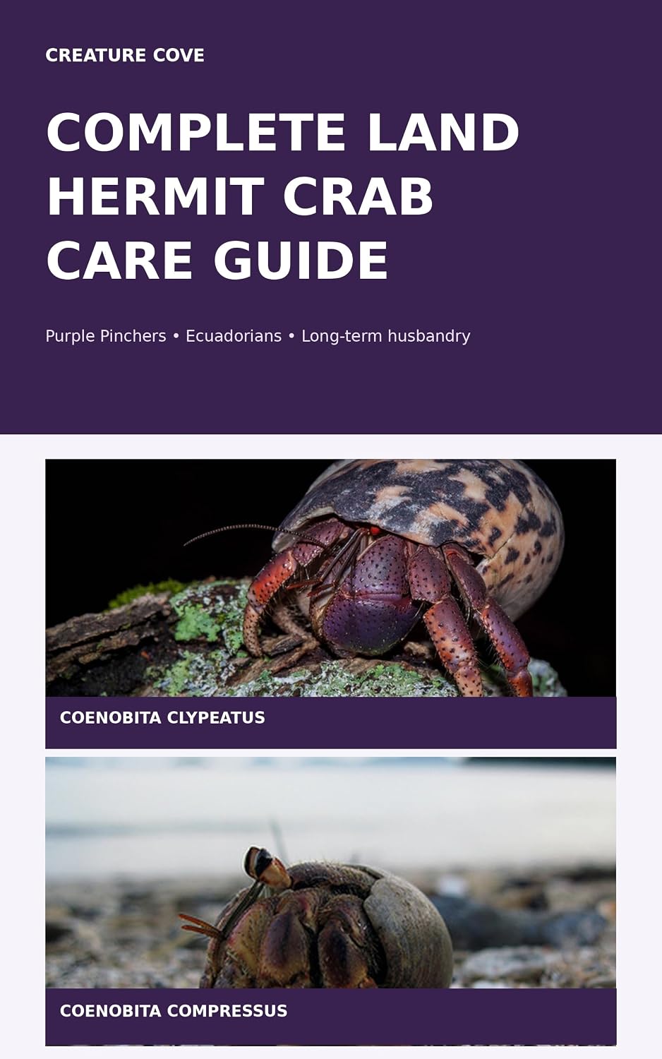 Complete Land Hermit Crab Care Guide (English Edition) baixar livro de graça