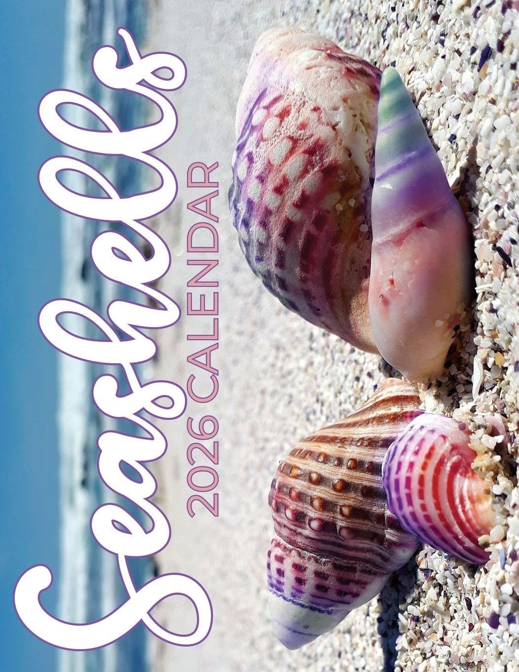 Seashells 2026 Calendar baixar o livro de graça