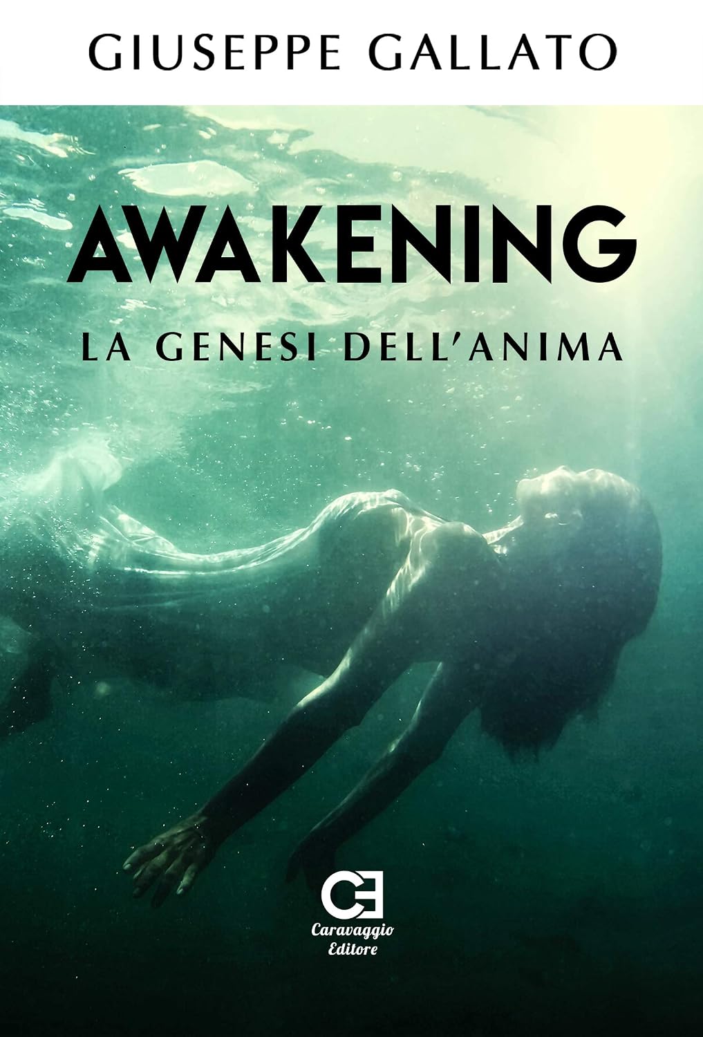 Awakening - La genesi dell’anima (Italian Edition) baixar o livro de graça