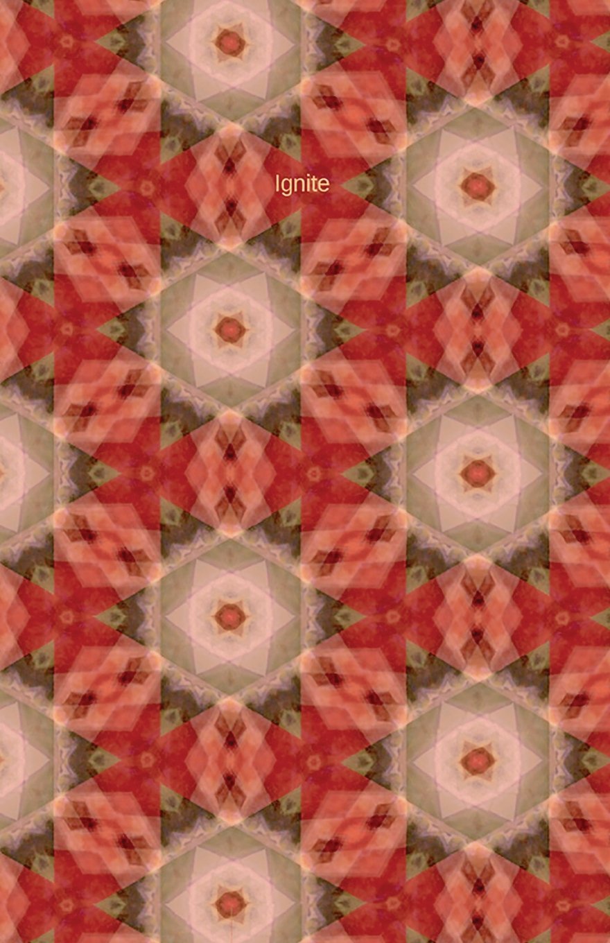 Ignite: Journal/Planner baixar livro de graça