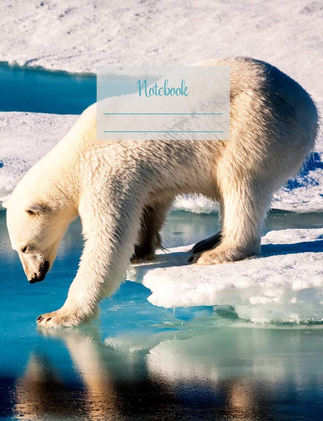ler totalmente Notebook: Composition Notebook. College Ruled with Soft Matte Cover. 120 Pages. Perfect for School Notes, Ideal as a Journal or a Diary. 9.69 X 7.44. Great Gift Idea. (Polar Bear Cover).