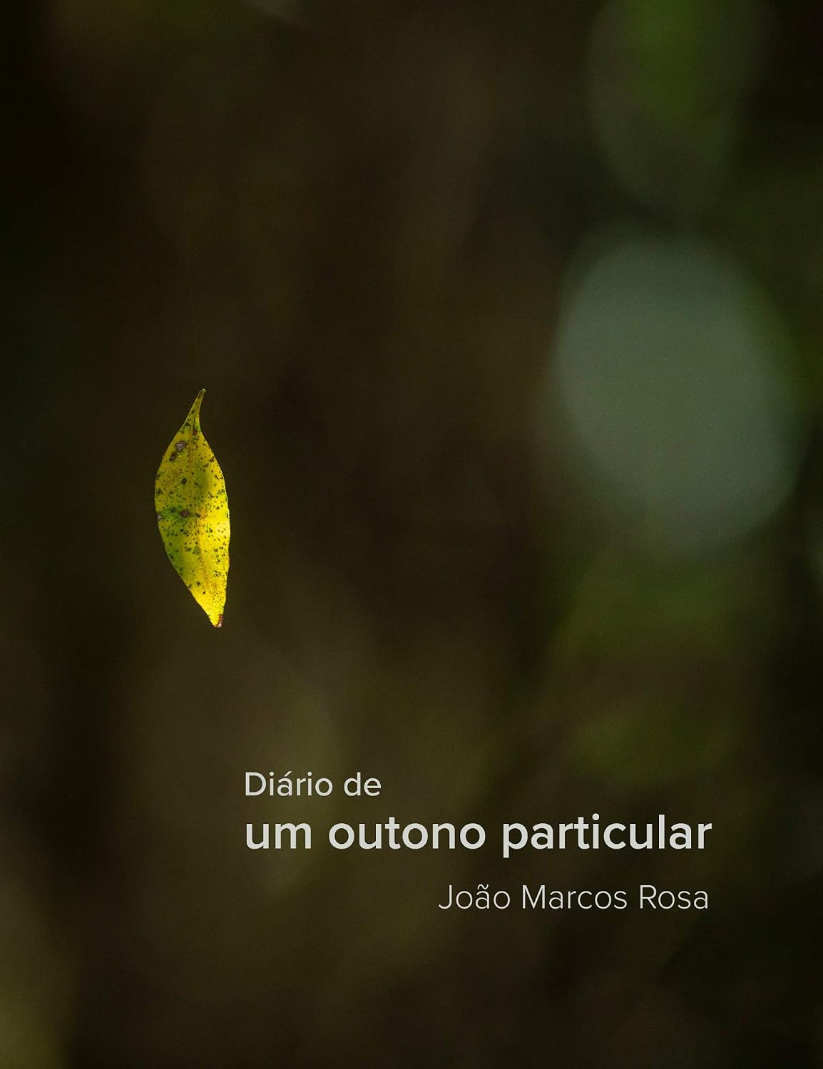 Diario de um outono particular baixar livro de graça