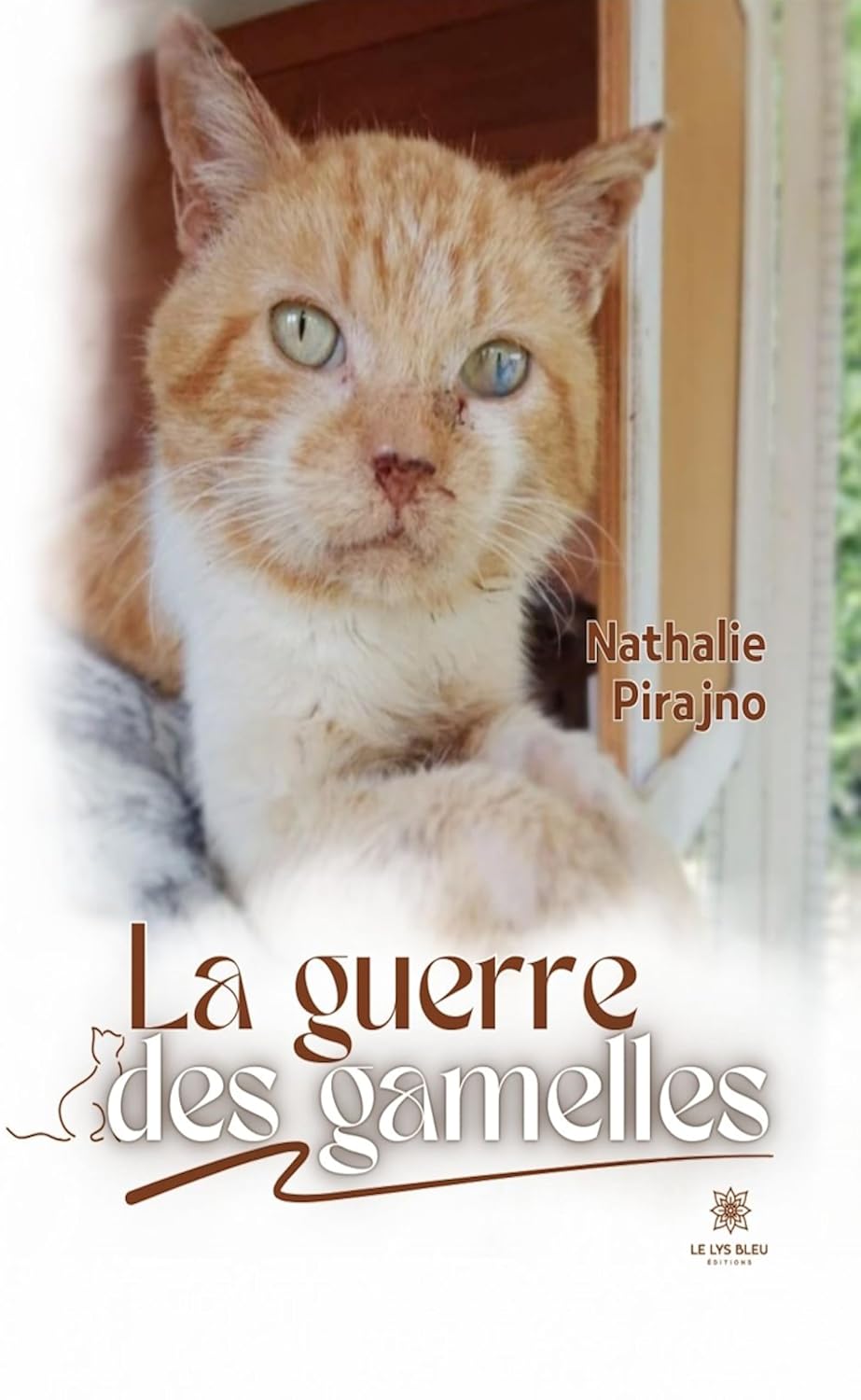 La guerre des gamelles (French Edition)