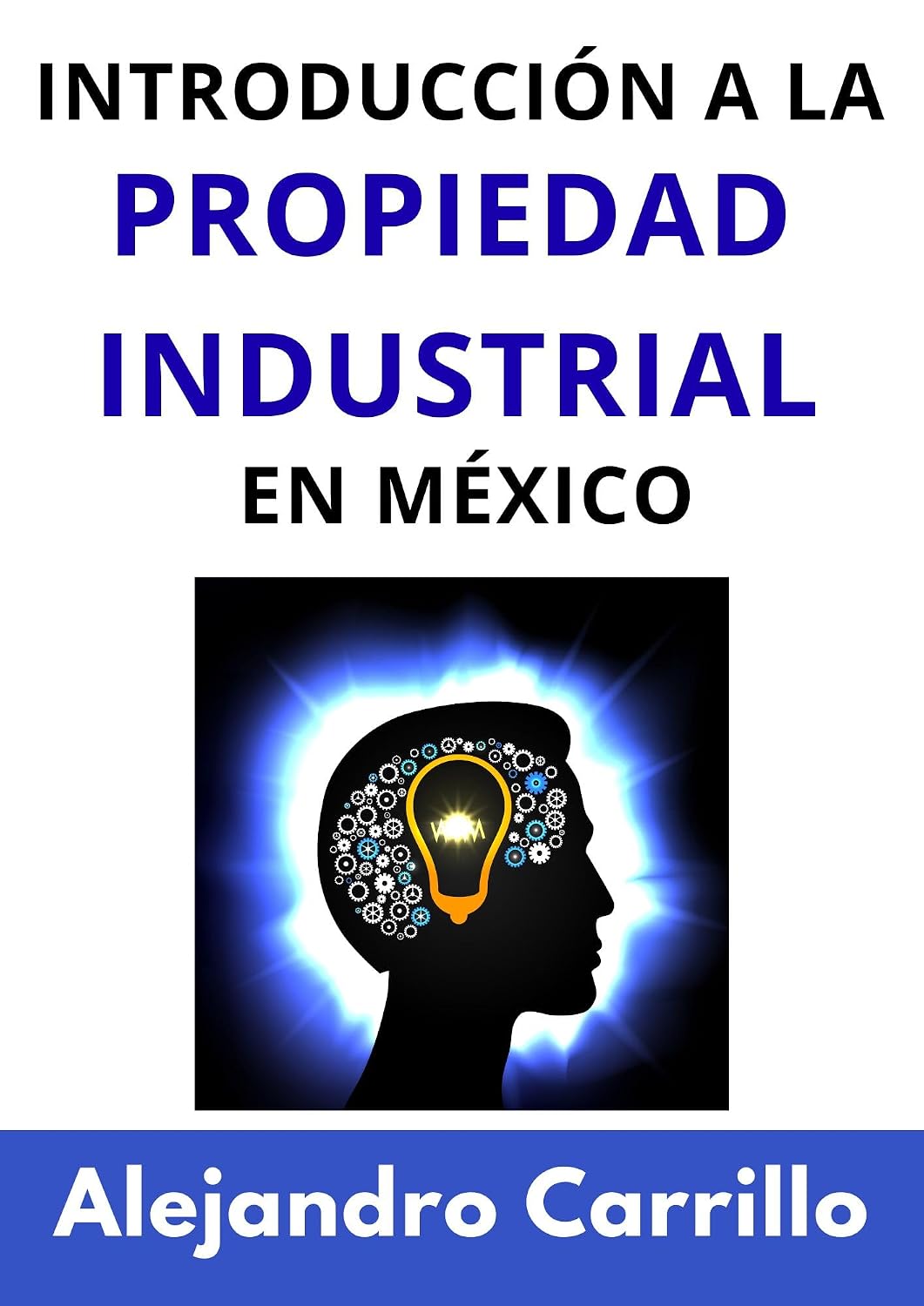 Introducción a la Propiedad Industrial en México (Spanish Edition) baixar o livro de graça