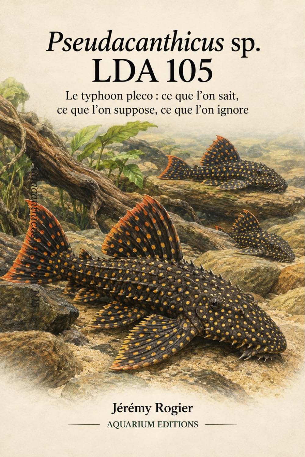 Pseudacanthicus sp. LDA 105: Typhoon Pleco: origine, biologie, maintenance, comportement, reproduction et état réel des connaissances (French Edition) baixar livro de graça