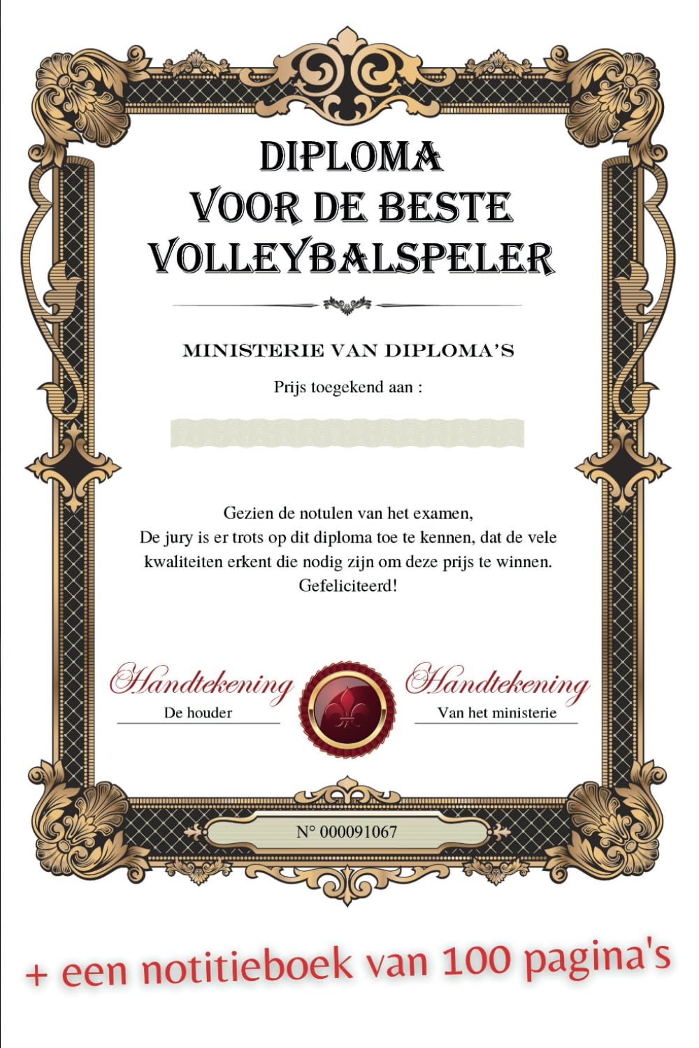 Diploma voor de Beste Volleybalspeler: Cadeau idee (Dutch Edition) baixar o livro de graça