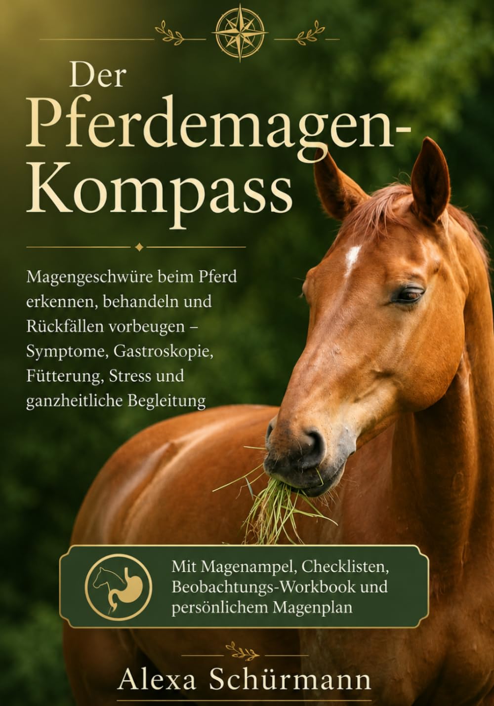 Der Pferdemagen-Kompass: Magengeschwüre beim Pferd erkennen, behandeln und Rückfällen vorbeugen - Symptome, Gastroskopie, Fütterung, Stress und ganzheitliche Begleitung (German Edition) baixar livro de graça