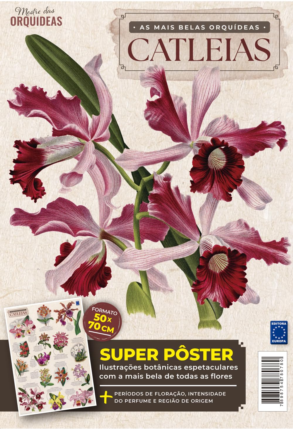 As Mais Belas Orquídeas Catleias - Pôster Mestre das Orquídeas baixar livro de graça