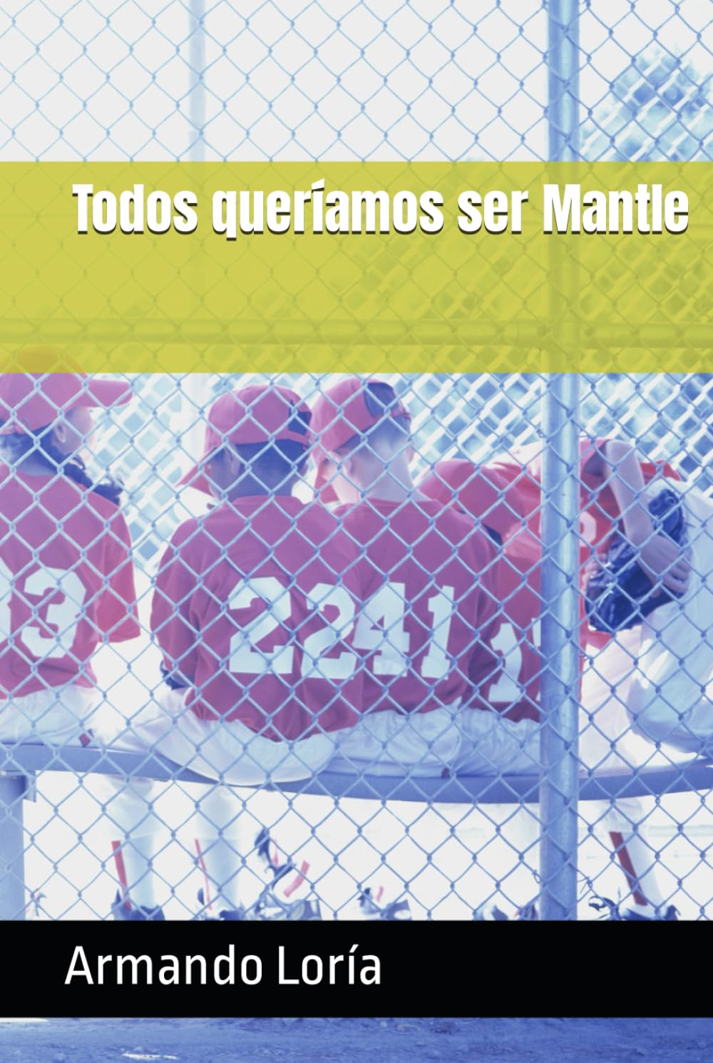 Todos queríamos ser Mantle (Spanish Edition) baixar livro de graça