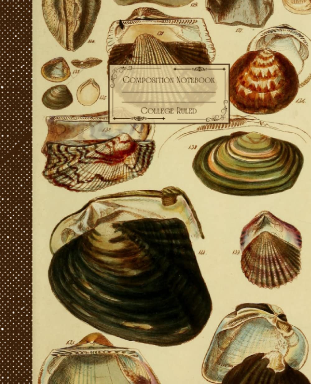 ler totalmente Vintage Seashells Composition Notebook College Ruled: Antique Seashells Illustration | Classic Composition Notebook for Writing and Journaling |... for College Students, School and Work.
