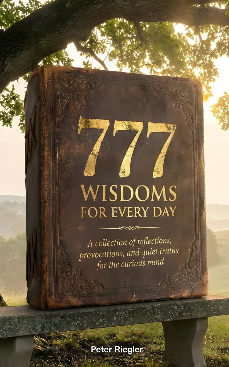 777 Wisdoms For Every Day: For Bitcoin Seed Phrase Backup - Non-Digital - All 2048 Seed Words in a Collection of Daily Wisdoms (German Edition) baixar o livro de graça