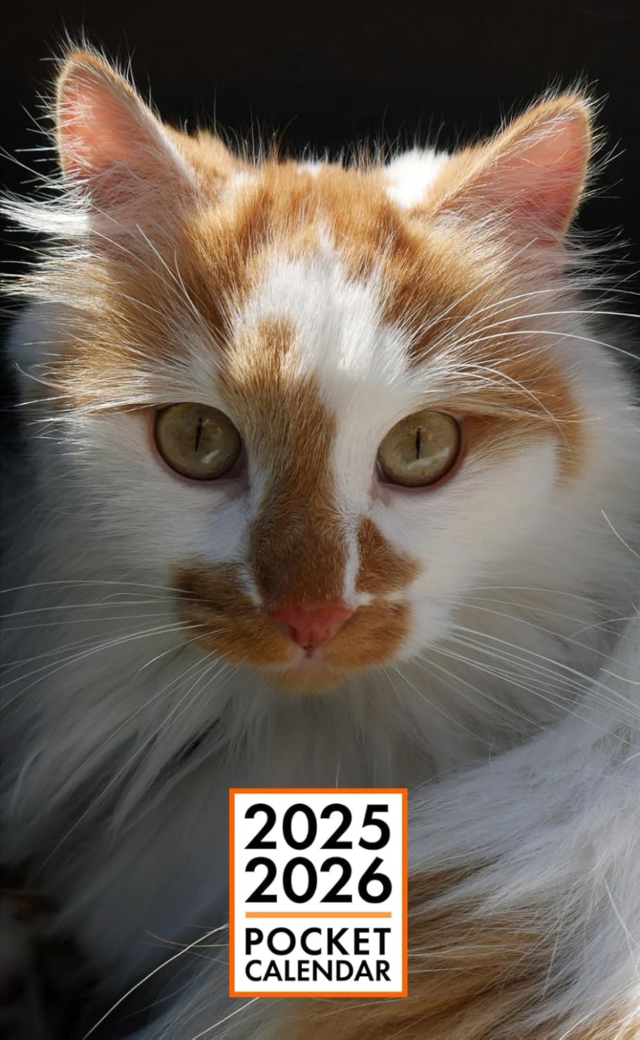 Pocket Calendar 2025-2026 for Purse - Zeus Cat v1 | 2 Year Pocket Planner January 2025 - December 2026 | Small Pocket Size 4 x 6.5 | Sketches of Cats in the Middle baixar livro de graça
