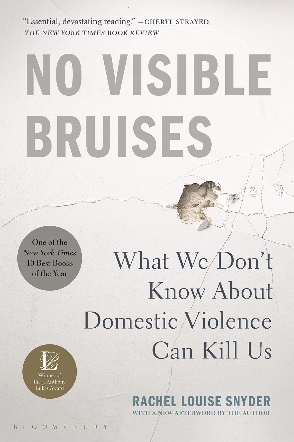 No Visible Bruises: What We Don't Know about Domestic Violence Can Kill Us baixar livro de graça
