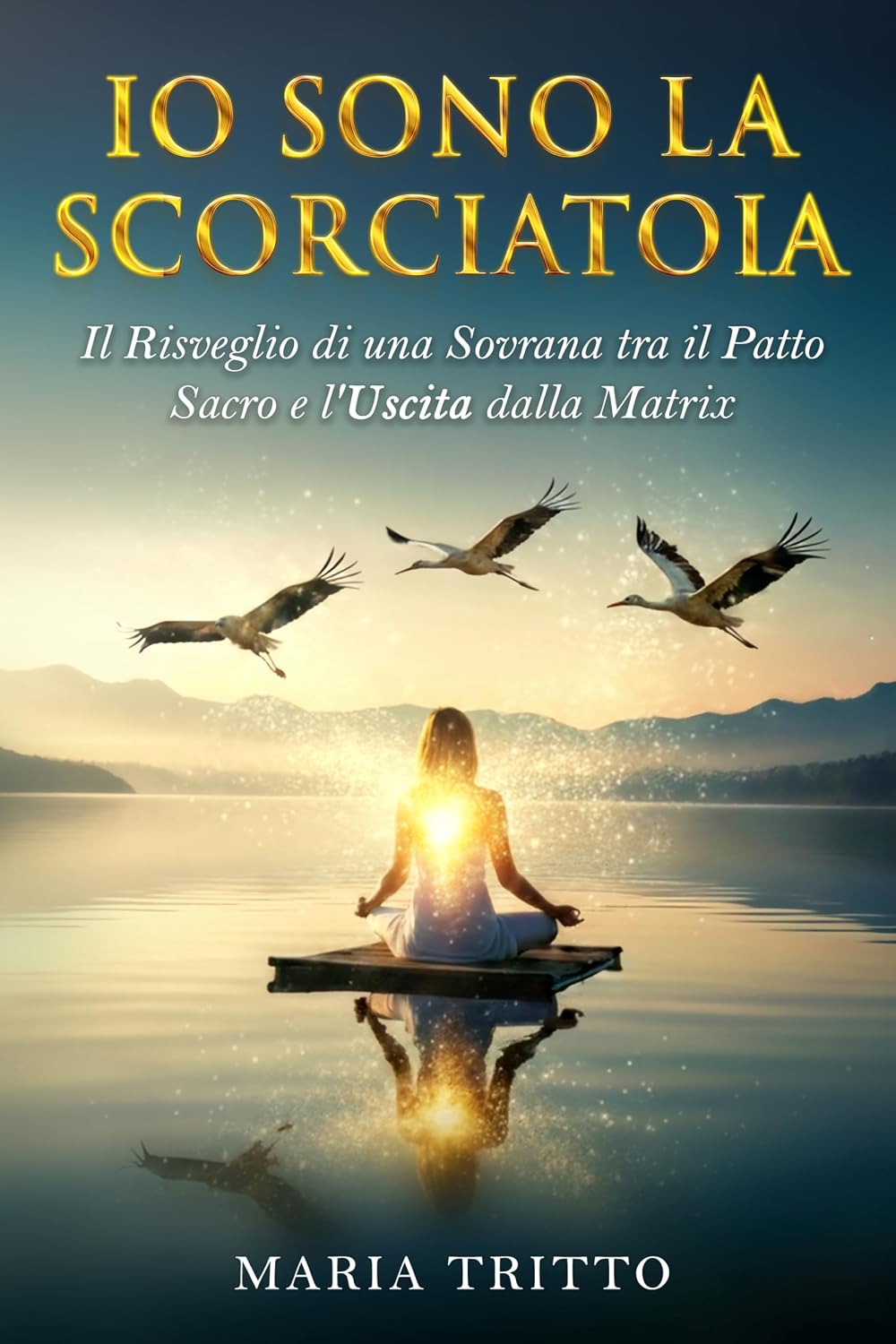 capítulo por capítulo baixar IO SONO LA SCORCIATOIA: Il Risveglio di una Sovrana tra il Patto Sacro e L`Uscita dalla Matrix (Italian Edition)