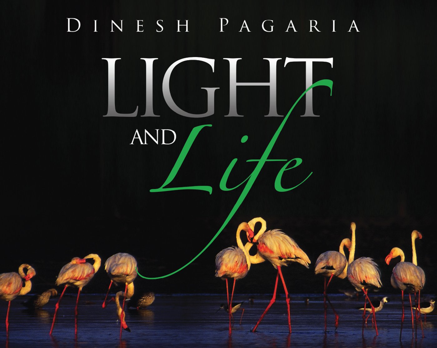 Light and Life (English Edition)