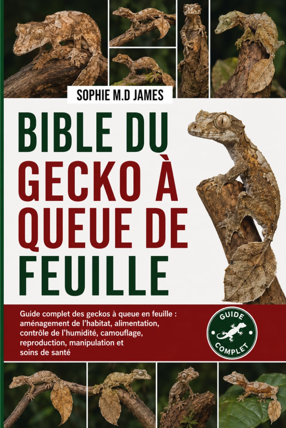 BIBLE DU GECKO À QUEUE DE FEUILLE: Guide complet des geckos à queue en feuille: aménagement de l’habitat, alimentation, contrôle de l’humidité,... et soins de santé (French Edition) baixar livro de graça