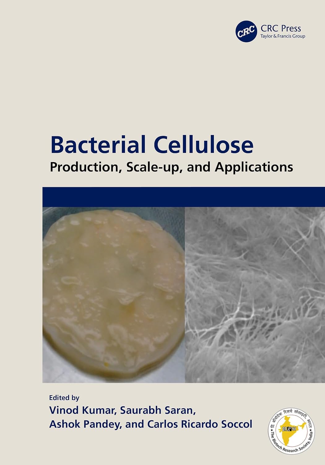 Bacterial Cellulose: Production, Scale-up, and Applications (Sustainable Industrial and Environmental Bioprocesses) (English Edition) baixar o livro de graça