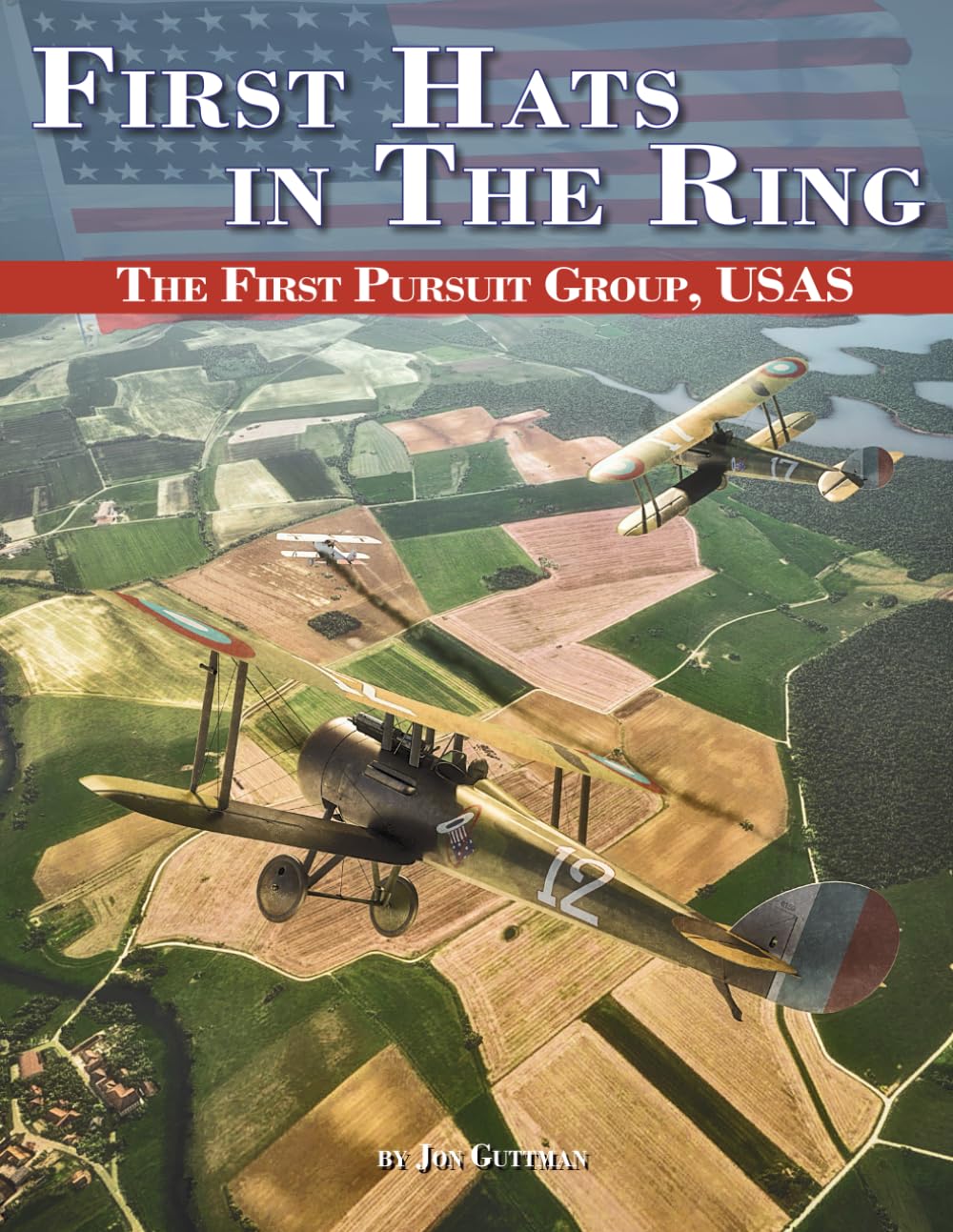 First Hats in the Ring: The 1st Pursuit Group, USAS baixar livro de graça