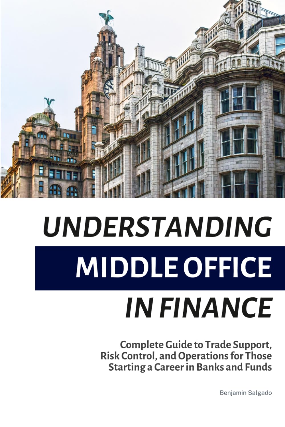capítulo por capítulo baixar Understanding Middle Office in Finance: A Complete Guide to Trade Support, Risk Control, and Operations for Those Starting a Career in Banks and Funds (Finance by Benjamin Salgado)