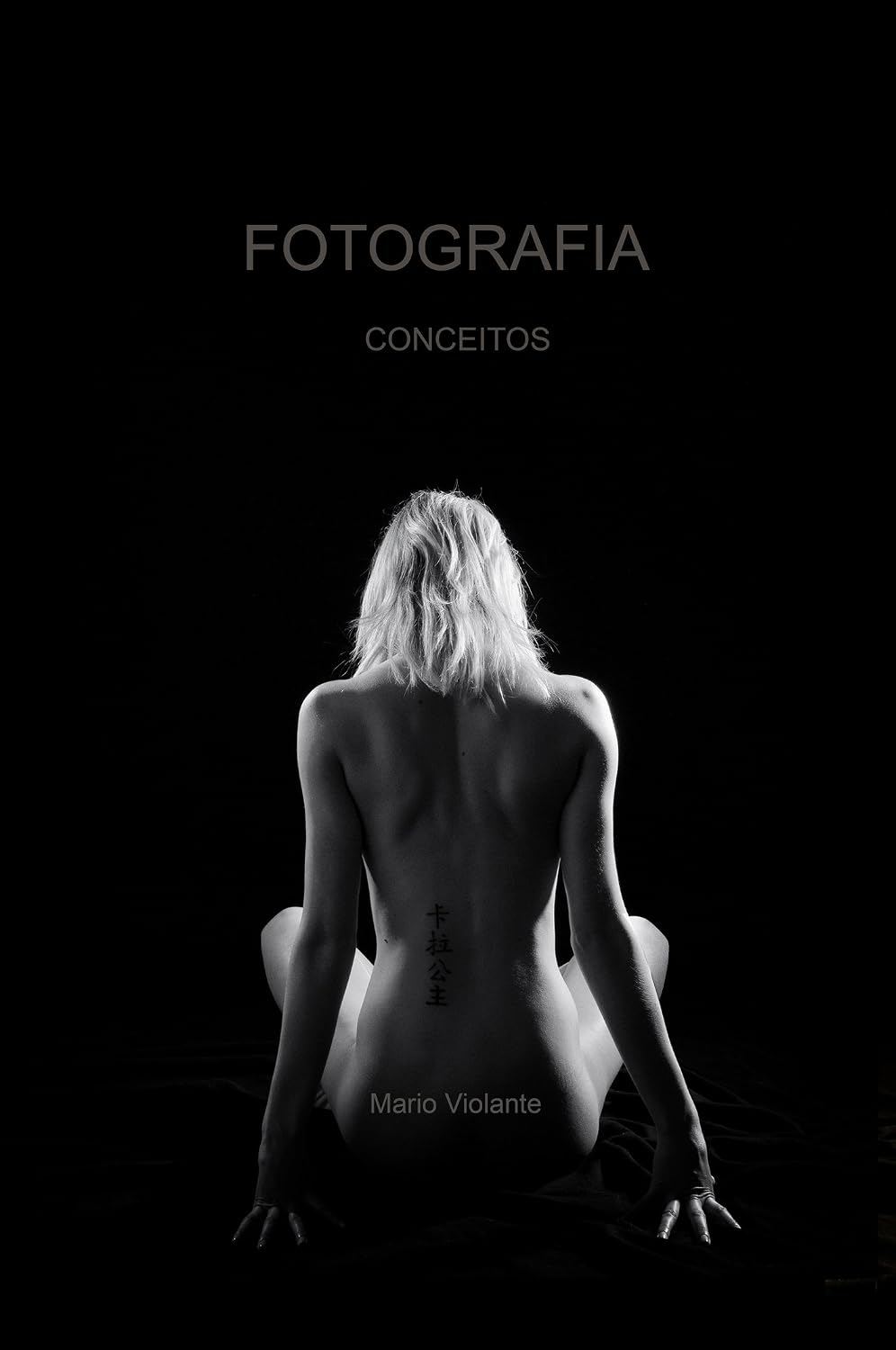 Fotografia - Conceitos baixar o livro de graça