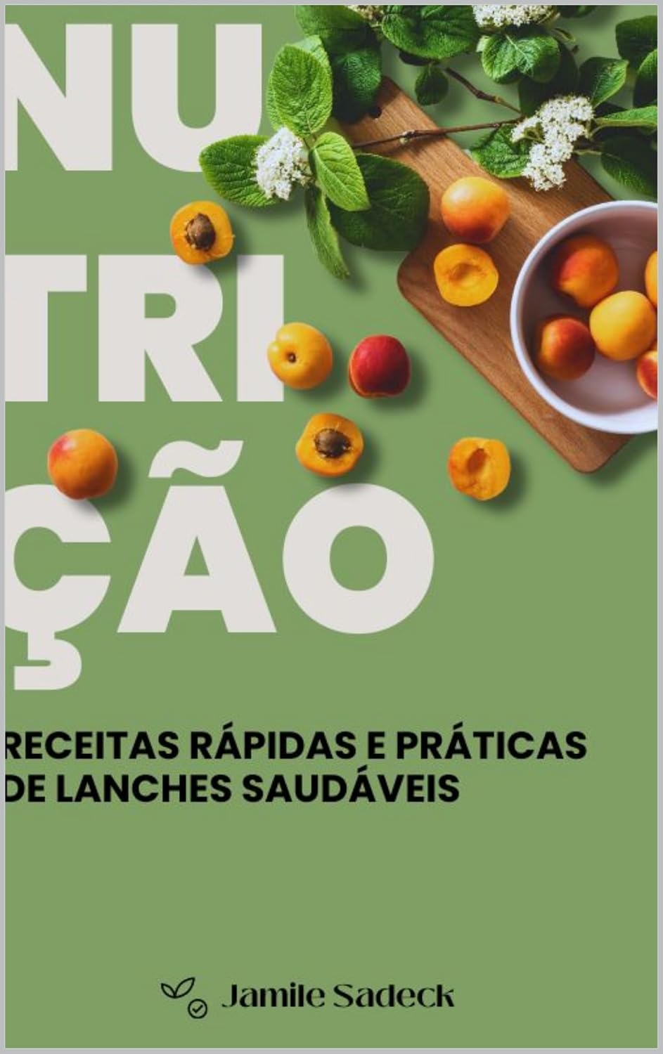 Nutrição: Receitas rápidas e práticas de lanches saudáveis baixar o livro de graça
