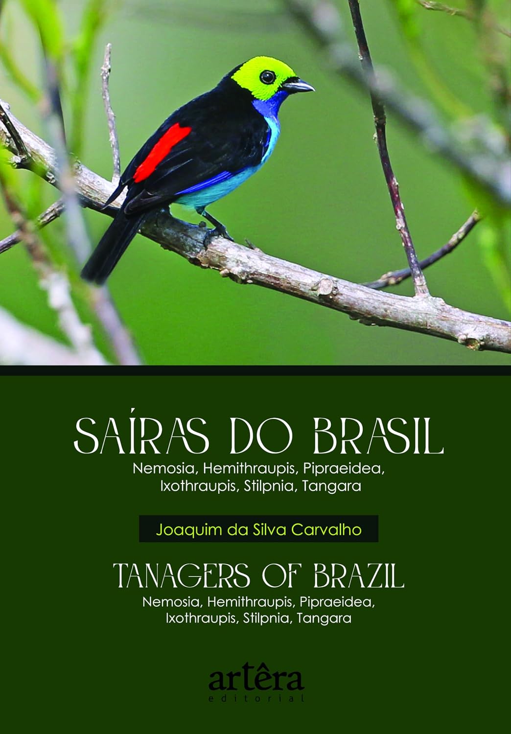 Saíras do Brasil - Tanagers of Brazil: Nemosia, Hemithraupis, Pipraeidea, Ixothraupis, Stilpnia, Tangara baixar livro de graça