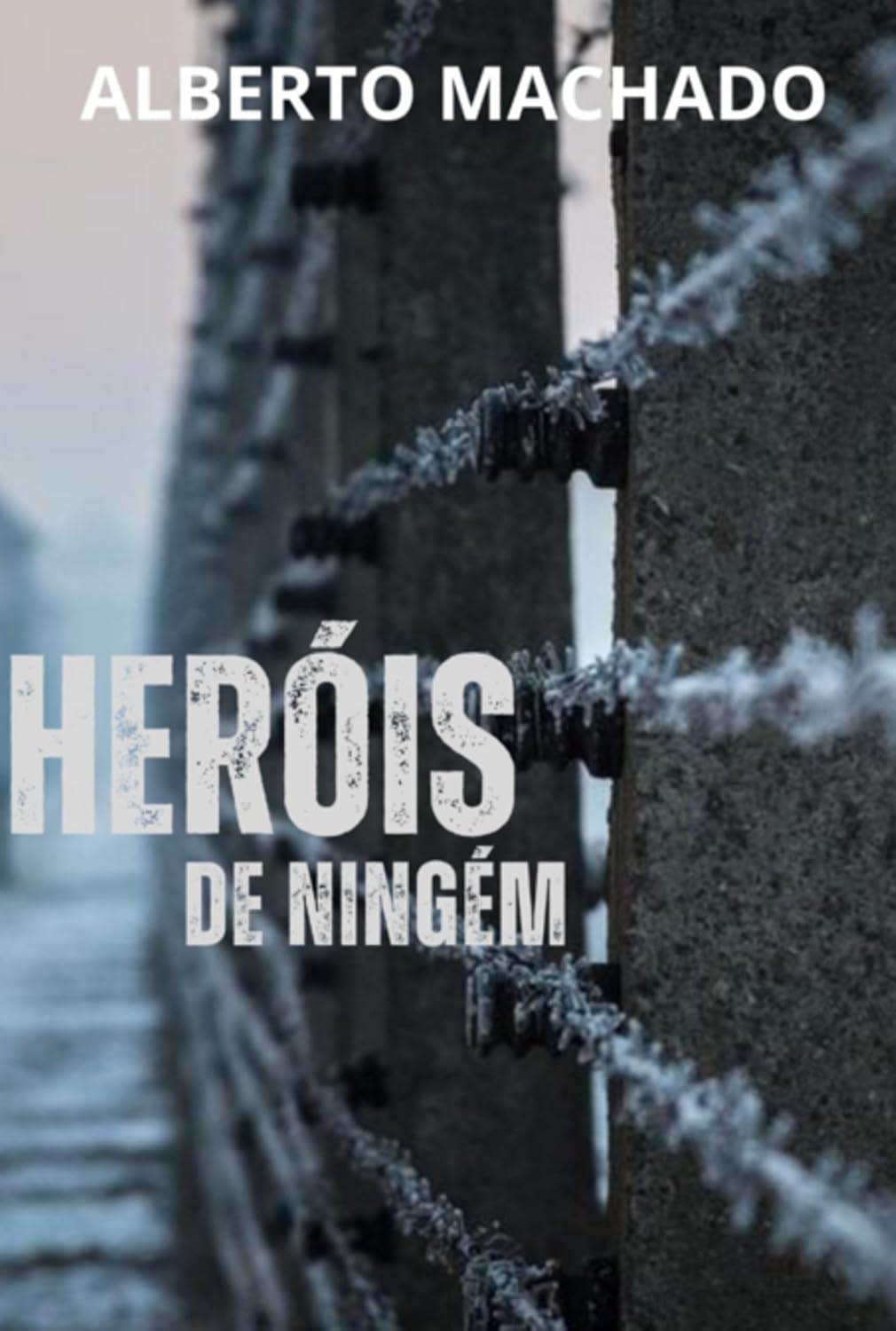 ler totalmente Heróis De Ninguém