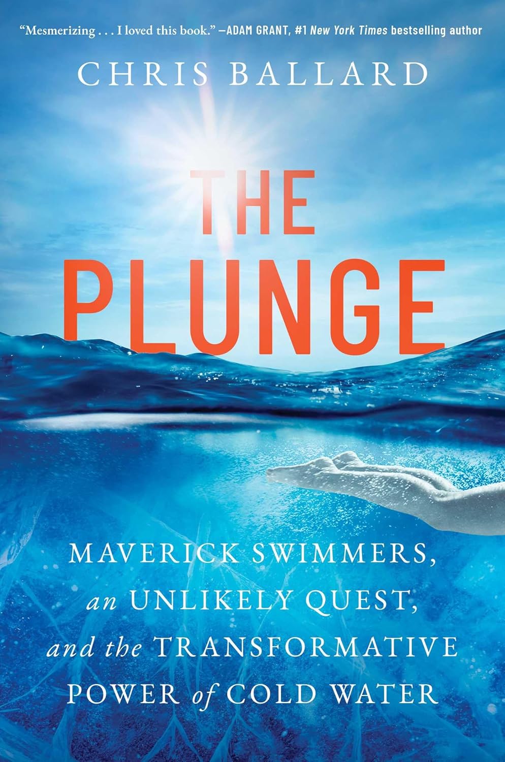The Plunge: Maverick Swimmers, an Unlikely Quest, and the Transformative Power of Cold Water baixar o livro de graça