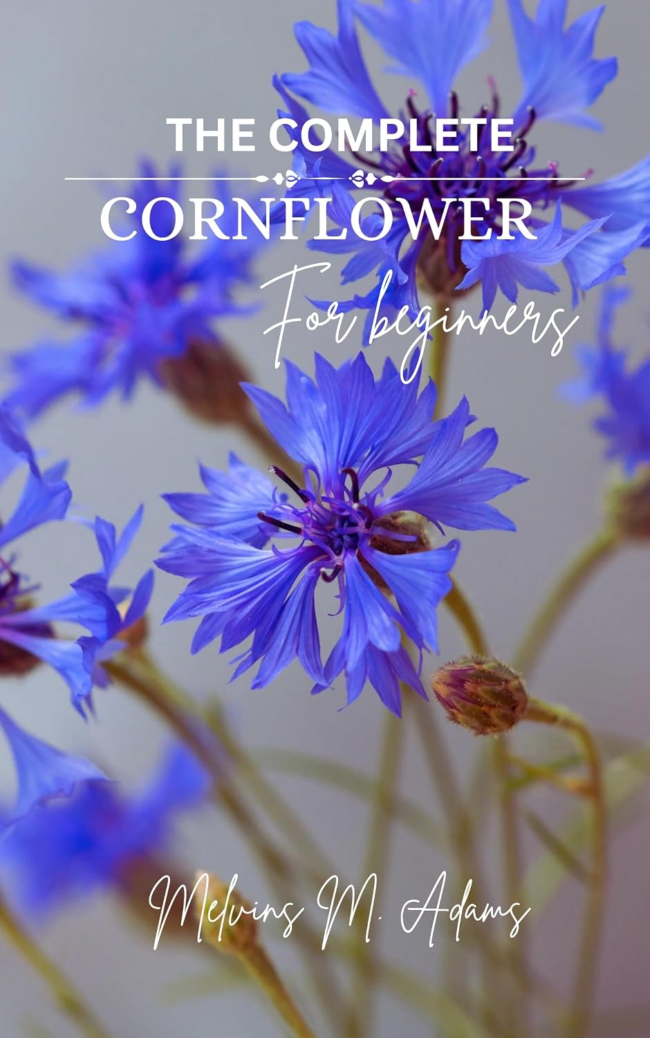 ler totalmente How to grow Cornflower for beginners: The Ultimate Beginner’s Guide to Growing, Caring for, and Harvesting Conflowers at Home and garden (English Edition)