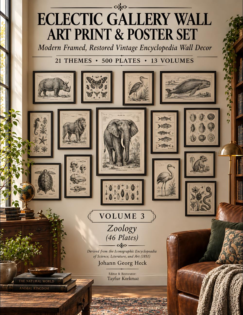 Eclectic Gallery Wall Art Print and Poster Set: Modern Framed, Restored Vintage Encyclopedia Wall Decor | 21 Themes, 500 Plates, Set of 13 Volumes –Volume 3: Zoology – 46 Plates baixar livro de graça