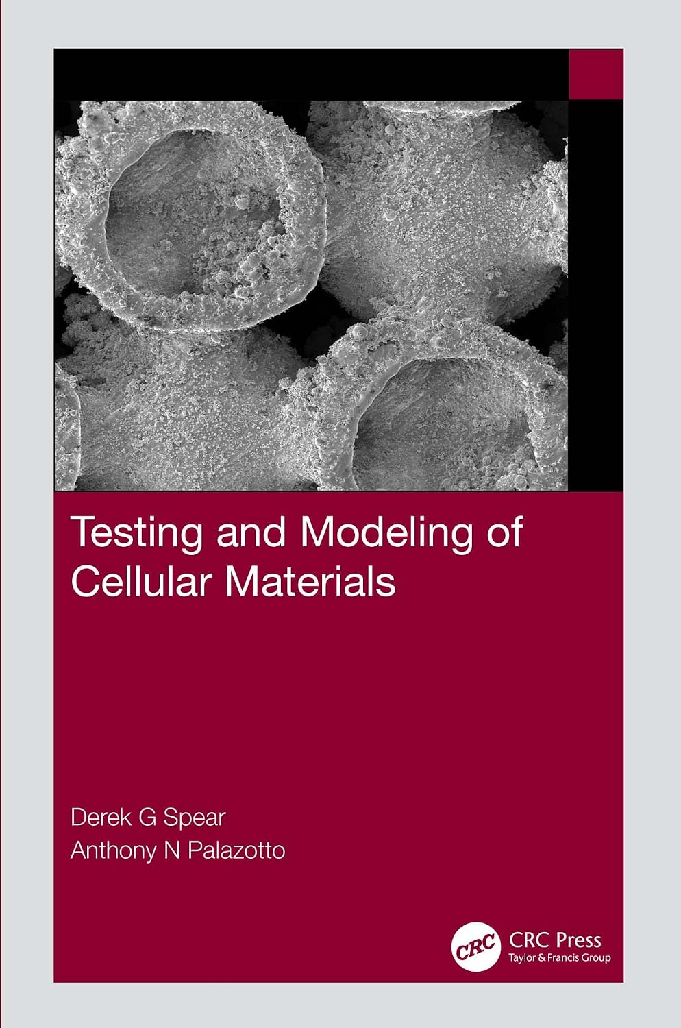 Testing and Modeling of Cellular Materials (English Edition) baixar o livro de graça