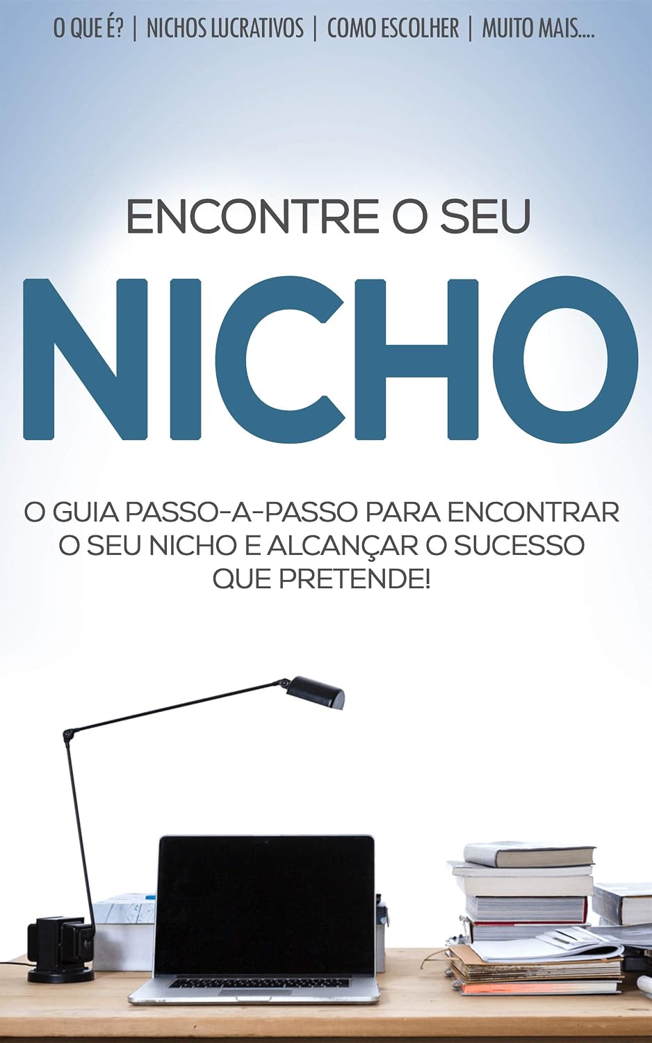 O NICHO DE MERCADO PERFEITO: Como encontrar nicho de mercado perfeito para o sucesso do seu negócio (Negócios & Empreendedorismo) baixar o livro de graça