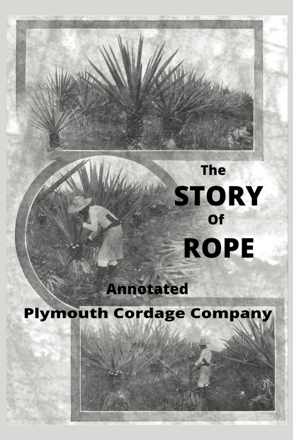 The Story of Rope Annotated baixar livro de graça