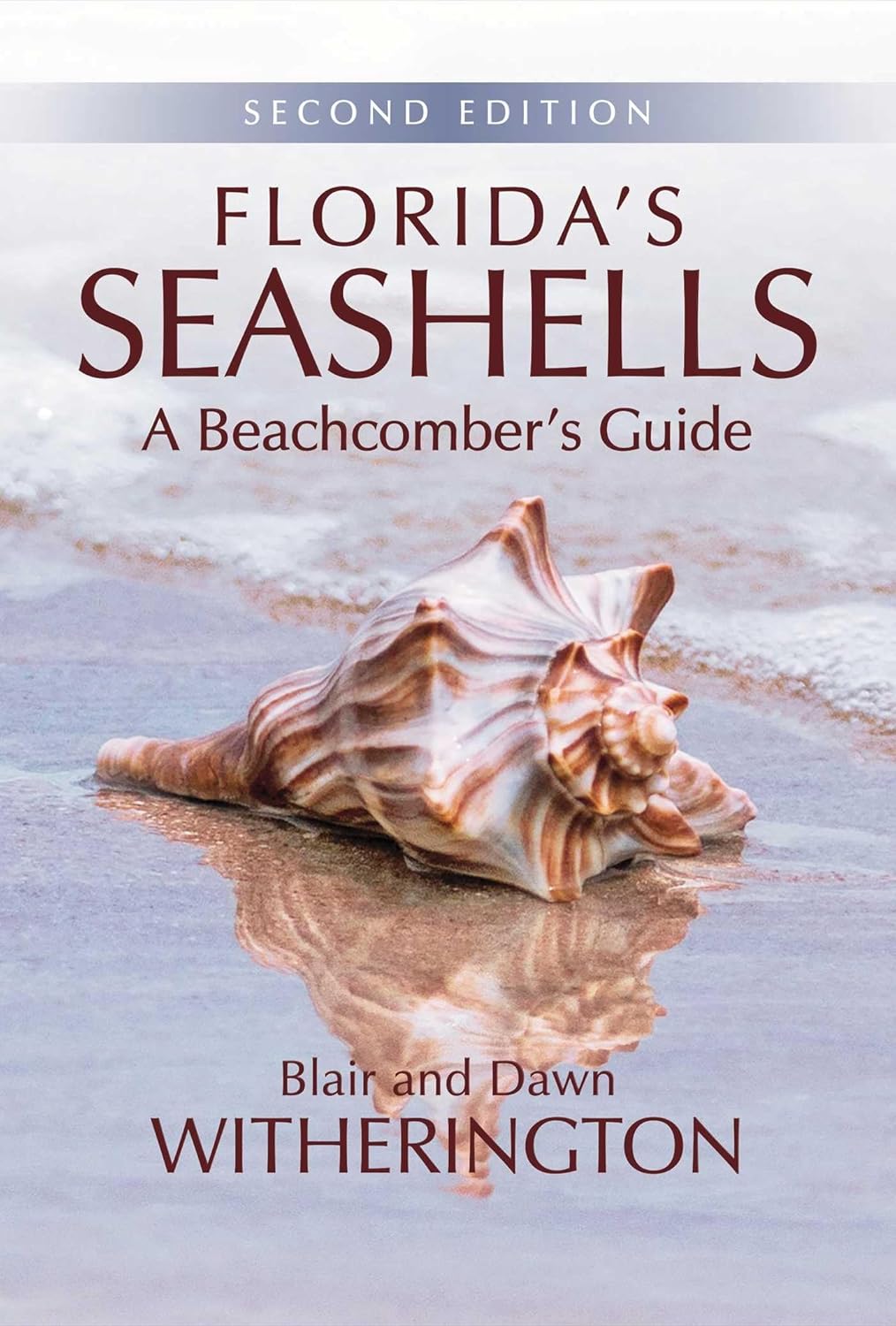 Florida's Seashells: A Beachcomber's Guide (English Edition) baixar livro de graça