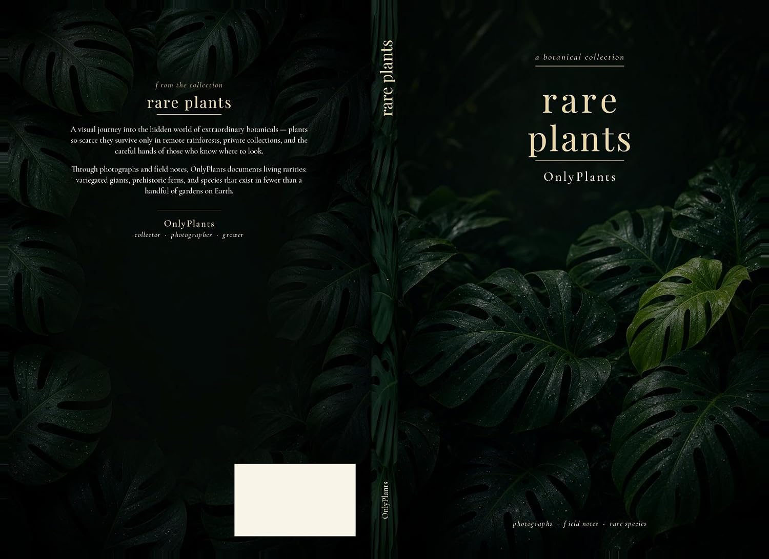 Rare Plants (OnlyPlants World – Botanische Porträts 1) (German Edition) baixar livro de graça