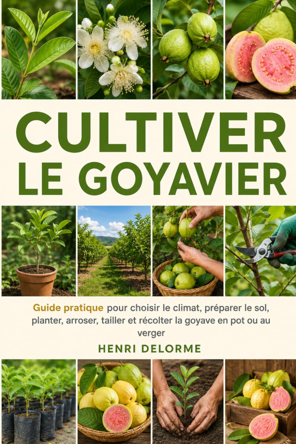 ler totalmente CULTIVER LE GOYAVIER: Guide pratique pour choisir le climat, préparer le sol, planter, arroser, tailler et récolter la goyave en pot ou au verger (French Edition)